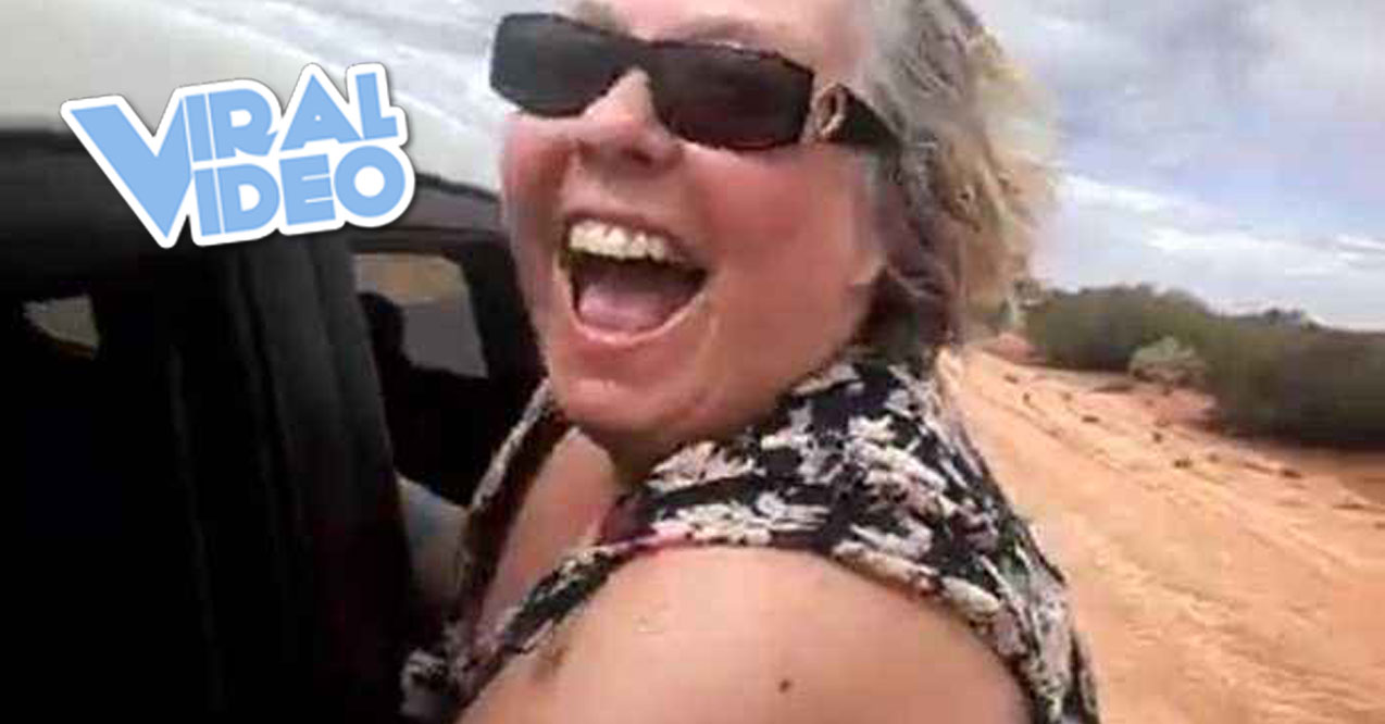 Viral Video: Car Surfing Grandma