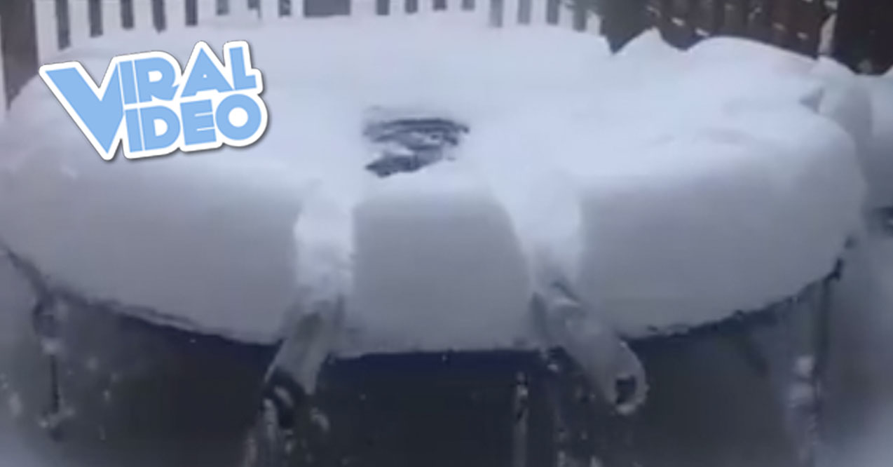 Viral Video: Snow Trampoline