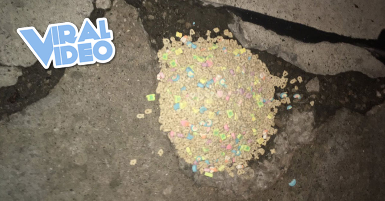 Viral Video: College Kid Eats Lucky Charms Out Of A Pothole