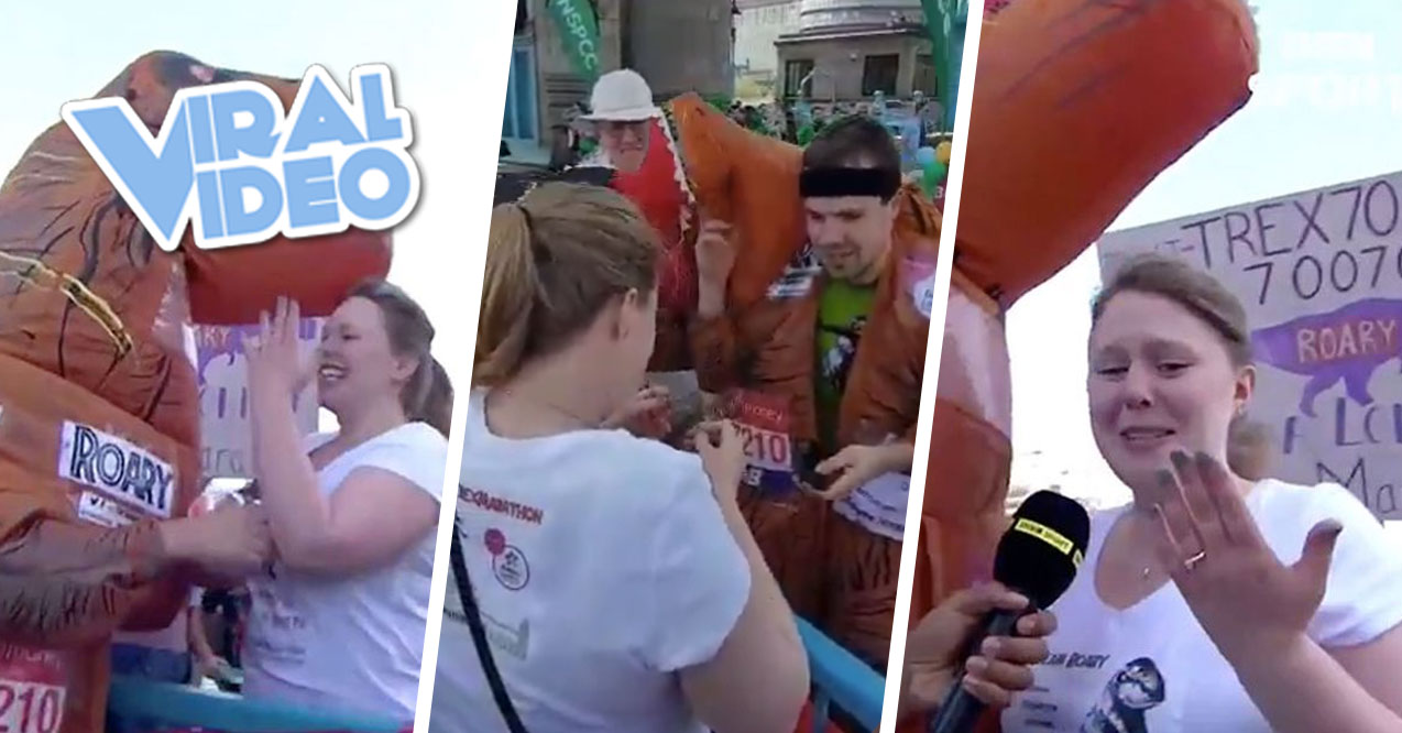 Viral Video: Man In T-Rex Costume Proposes During A Marathon