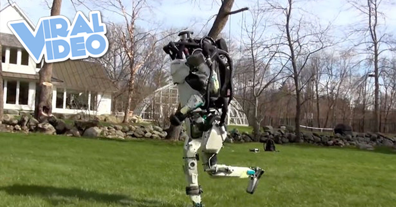Viral Video: New Robot Video Shows The Future Is Here