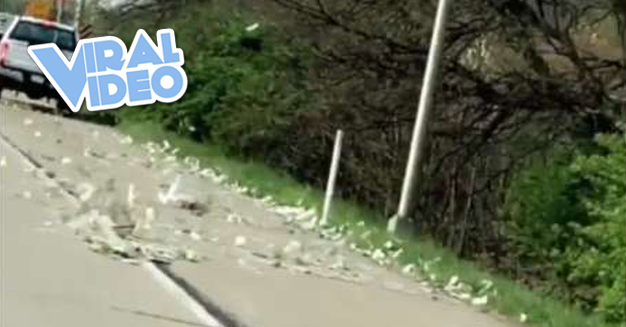 Viral Video: Bank Truck Drops Money All Over the Road