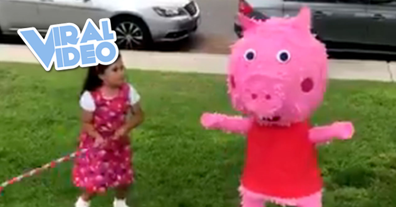 Viral Video: Peppa Pig Watches Pinata Take A Beating