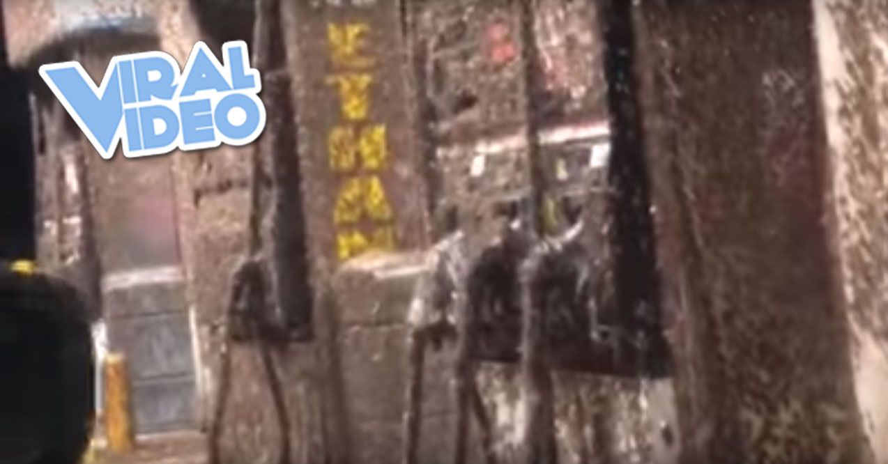 Viral Video: Mayflies Swarm Gas Station