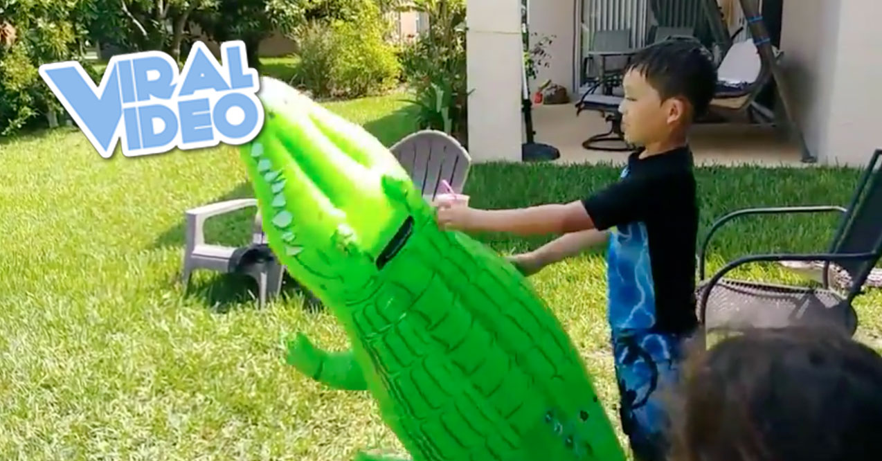 Viral Video: LIVE Alligator Lurking Near Boy
