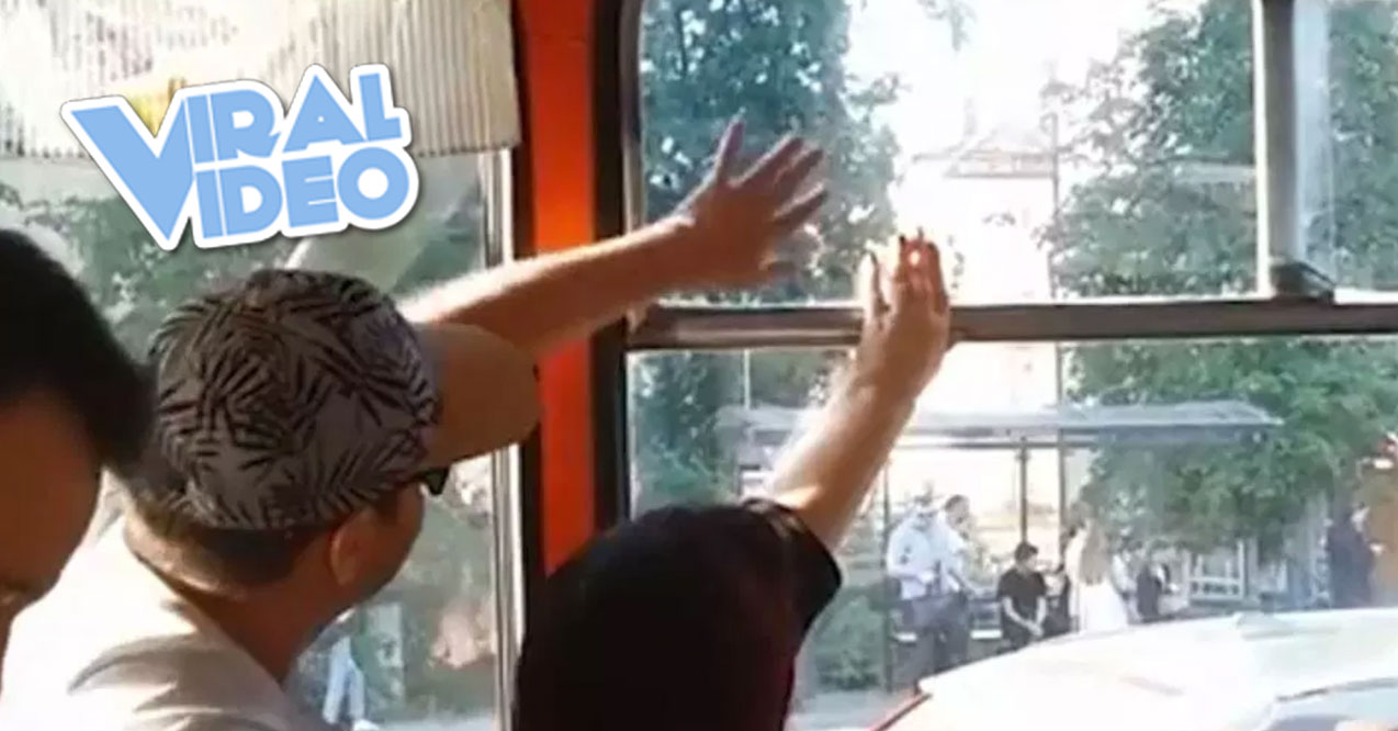 Viral Video: Passive-Aggressive Passengers Fight Over Window