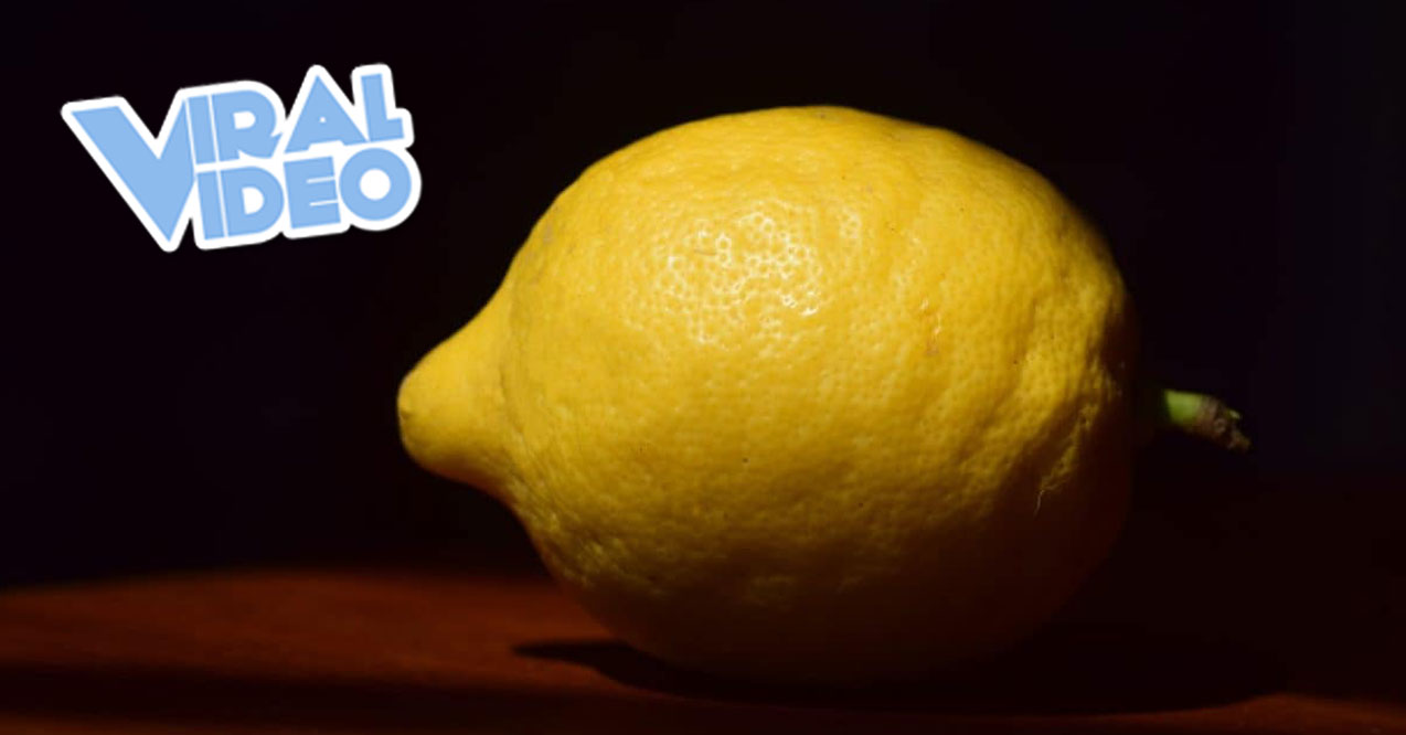 Viral Video: Lemon Rolling… For A Quarter Mile
