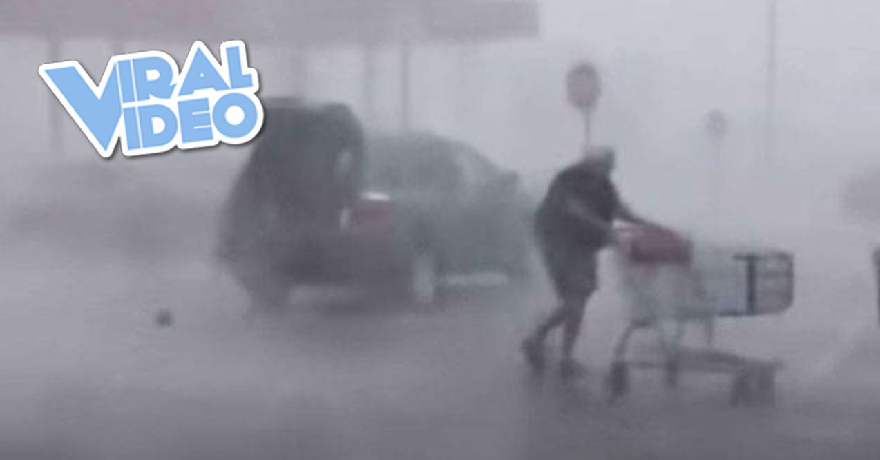 Viral Video: Lady Returns Shopping Cart in Fierce Storm