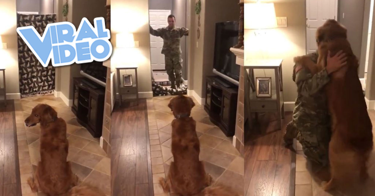 Viral Video: Sweetest What the Fluff Surprise Yet