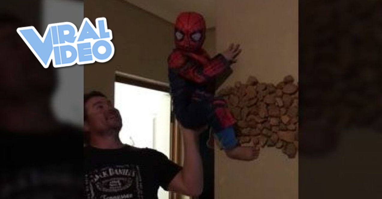 Viral Video: Spider-Man Exists!
