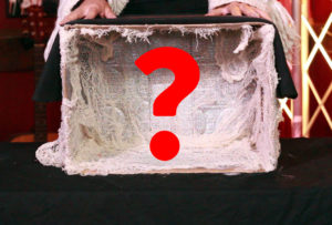 What’s In The Box?