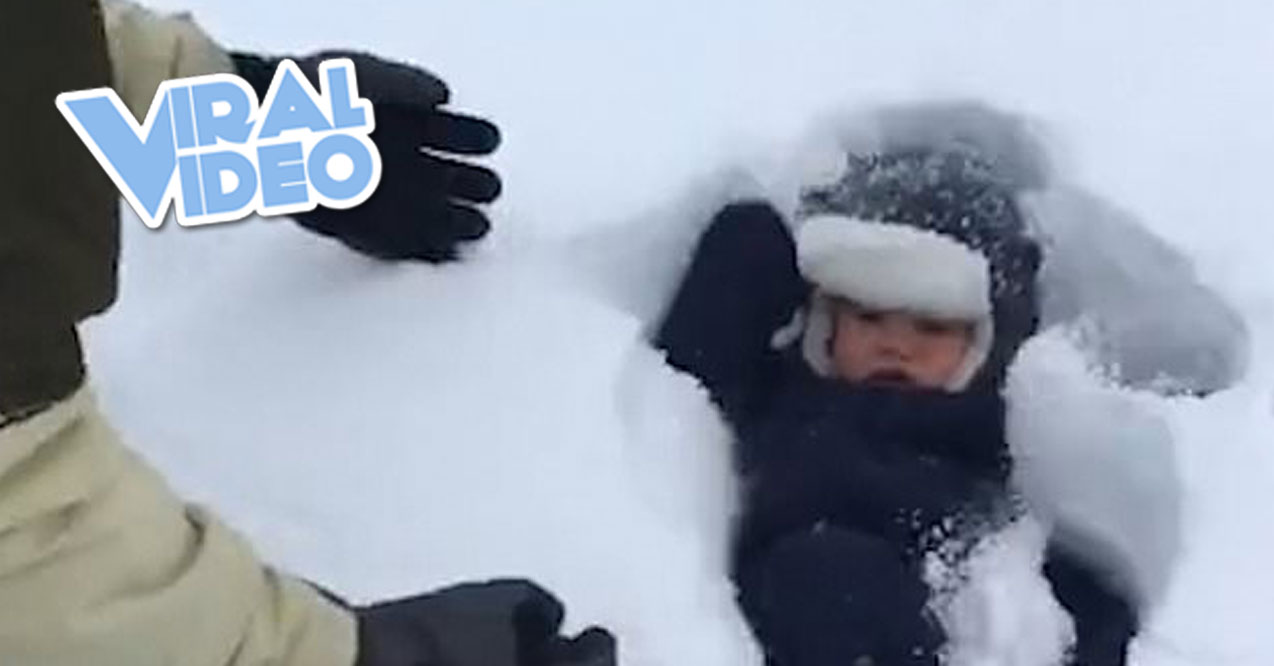 Viral Video: Dad Drops Baby Into 20 Inches Of Snow