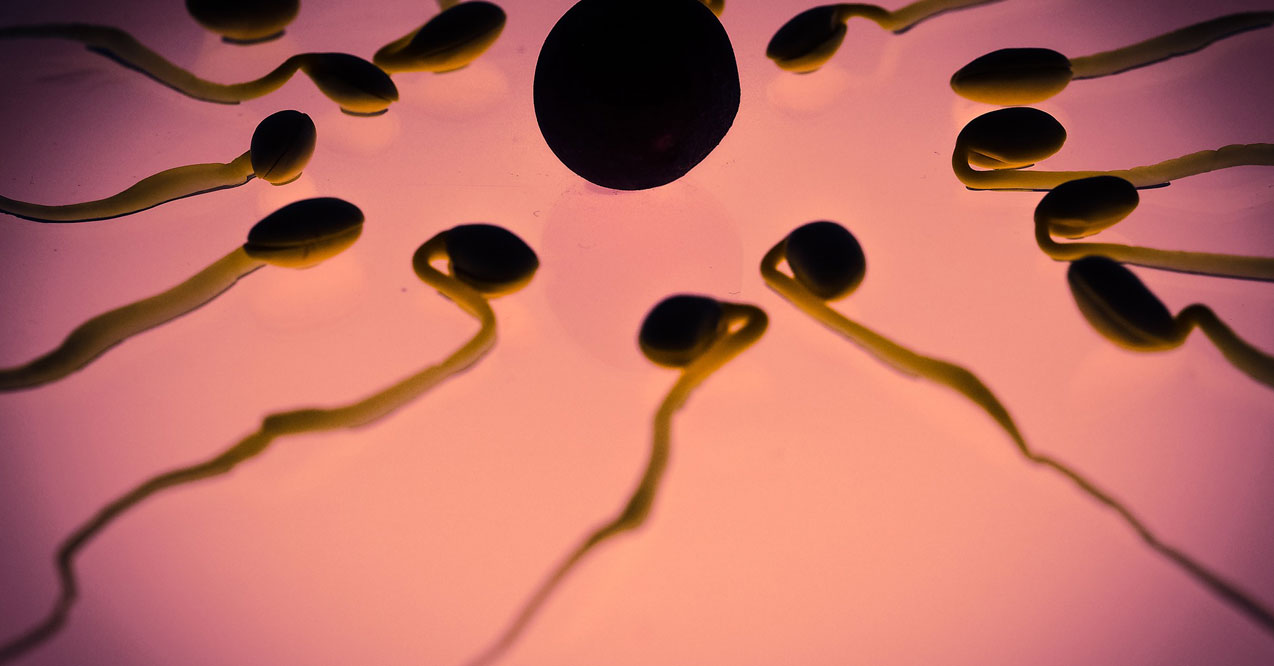 We Talk To The Very Popular Sperm Donor, Kyle Gordy