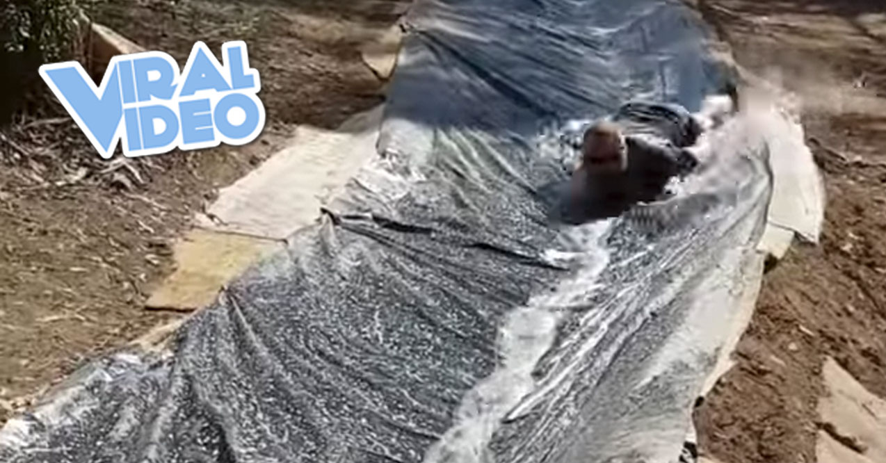 Viral Video: Incredible Homemade Waterslide