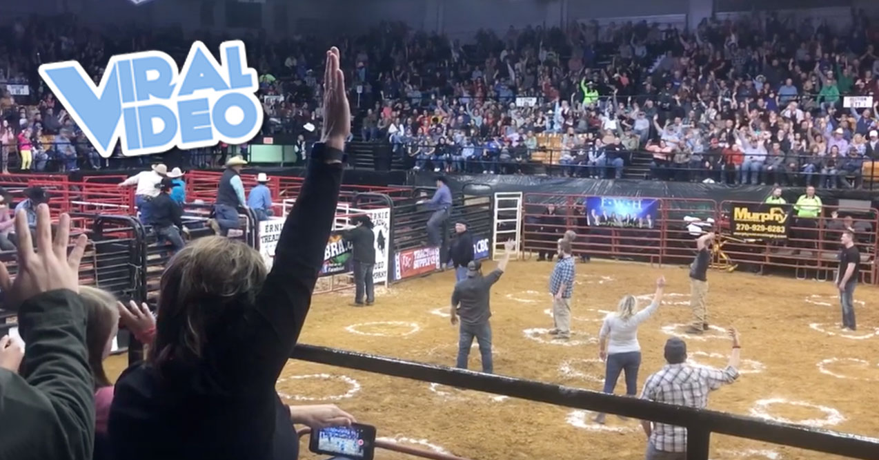 Viral Video: Bull Bash 2019 Cowboy Pinball