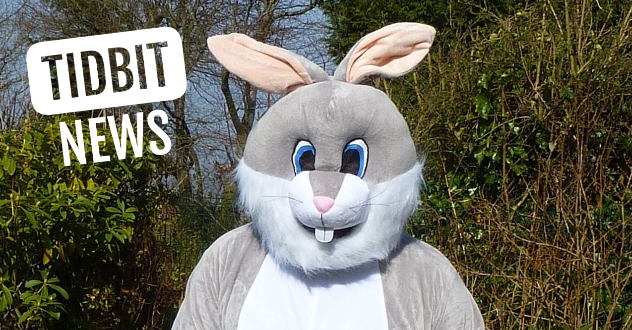 Hero Easter Bunny Is Wanted