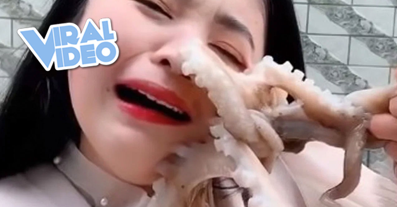 Viral Video: Woman With An Octopus Stuck to Her Face