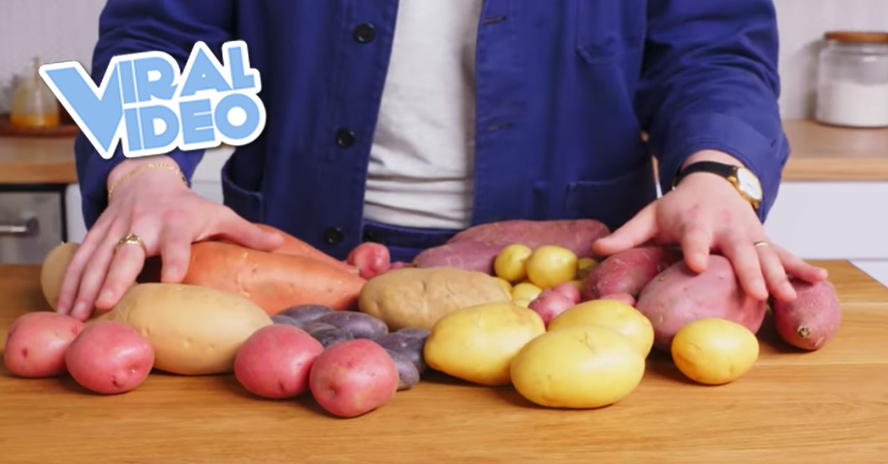 Viral Video: Every Way to Cook a Potato