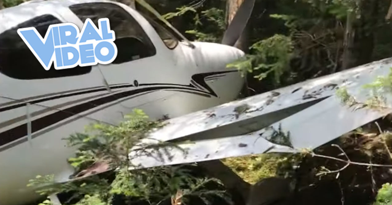 Viral Video: Pilot Crashes Plane & Vlogs Rescue