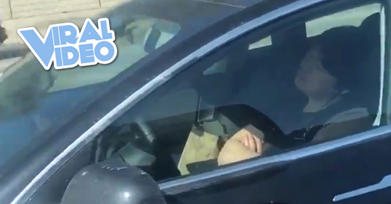 Viral Video: Driver Sleeps Behind the Wheel