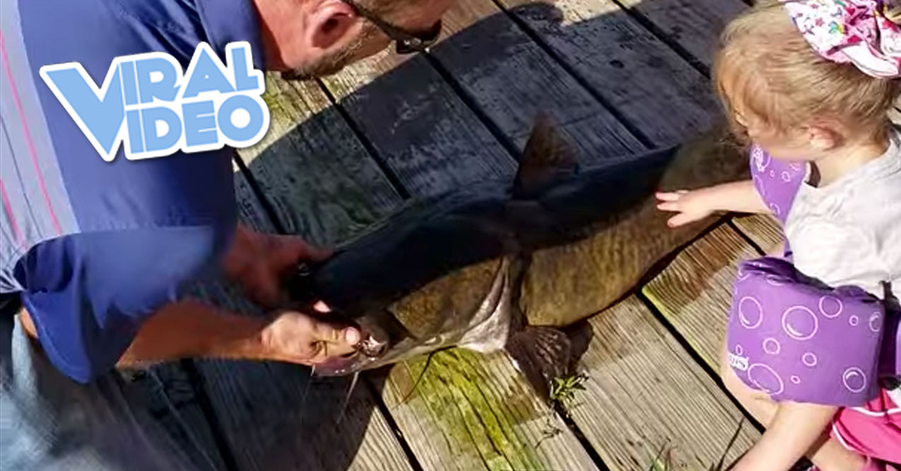 Viral Video: Little Girl Reels in Monster Fish with Mini Pole