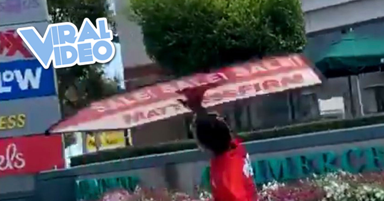 Viral Video: Sign-Spinning Guy Kills It