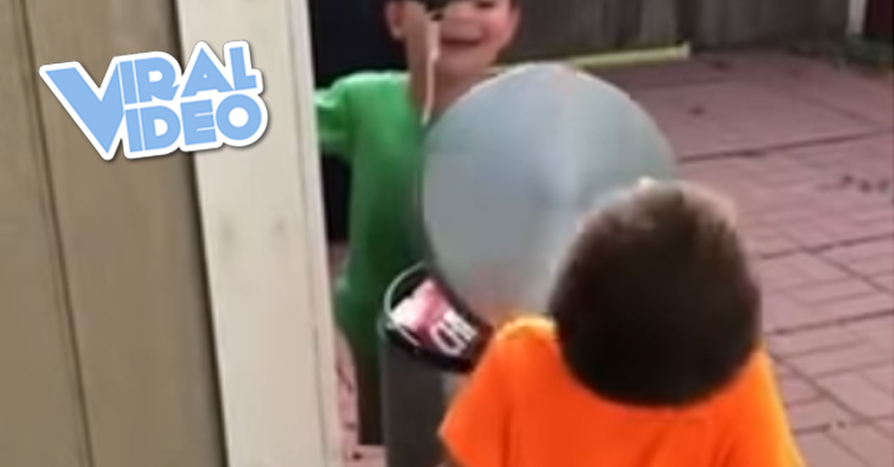 Viral Video: Little Boys Hit in the Face with a Garbage Can