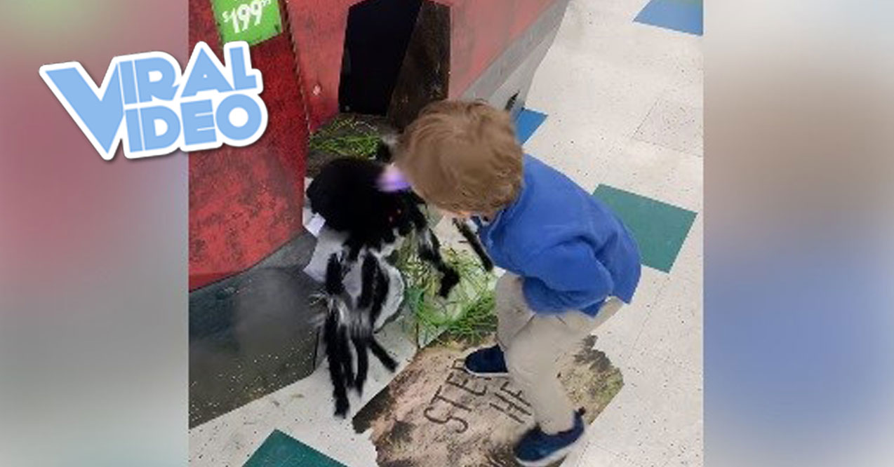 Viral Video: Kid Punches Halloween Display