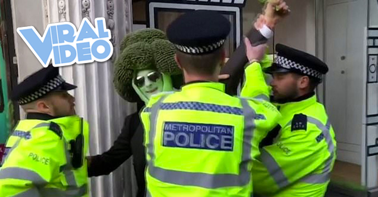 Viral Video: Protestor Dressed as Broccoli Gets Arrested