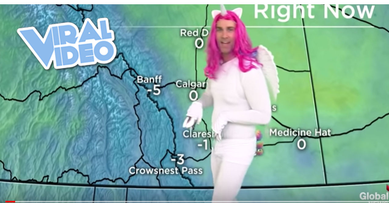 Viral Video: Jordan Witzel dresses as a unicorn