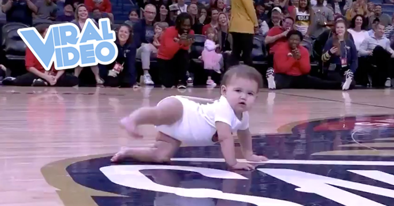Viral Video: A Baby Crawl Race