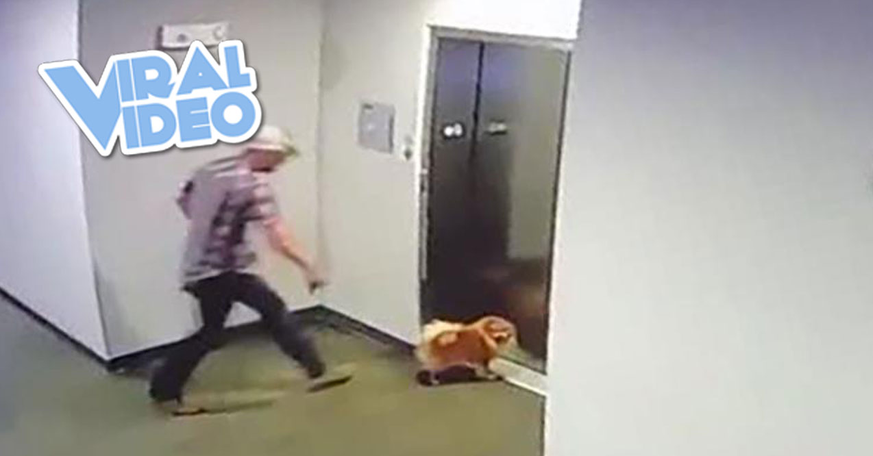 Viral Video: A Dog’s Leash Is Caught in Elevator Doors, and a Guy Rescues It