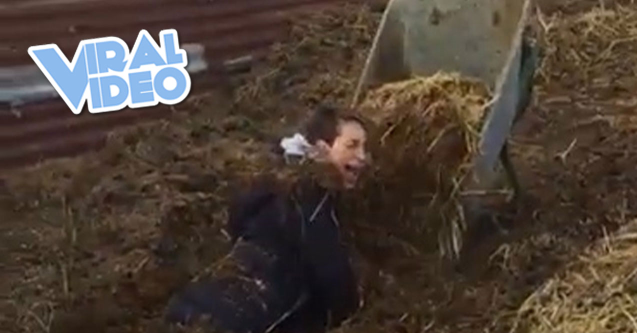Viral Video: A Woman Face-Plants Into a Pile of Manure