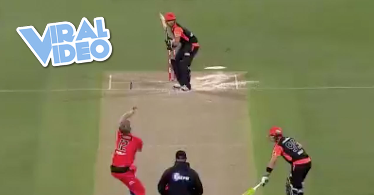 Viral Video: A Cricket Player Gets Nailed