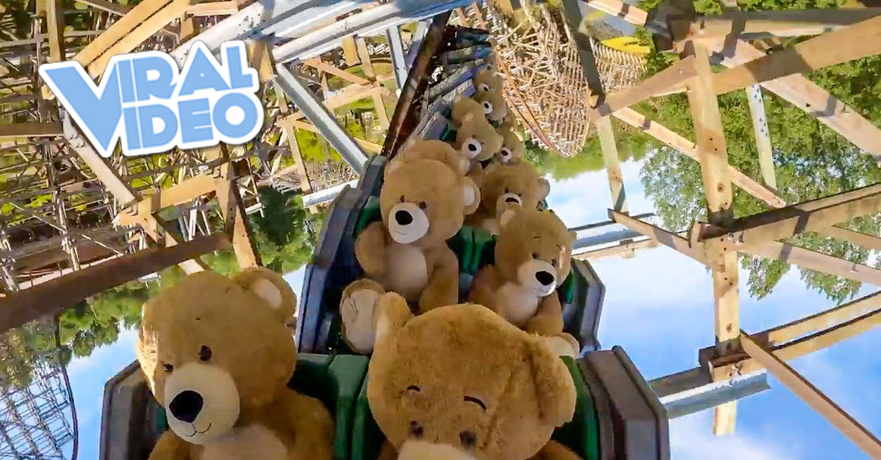 Viral Video: 22 Oversize Teddy Bears Riding a Rollercoaster
