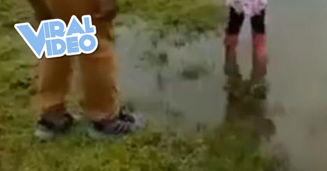 Viral Video: Dad Jumps Into a Mud Puddle