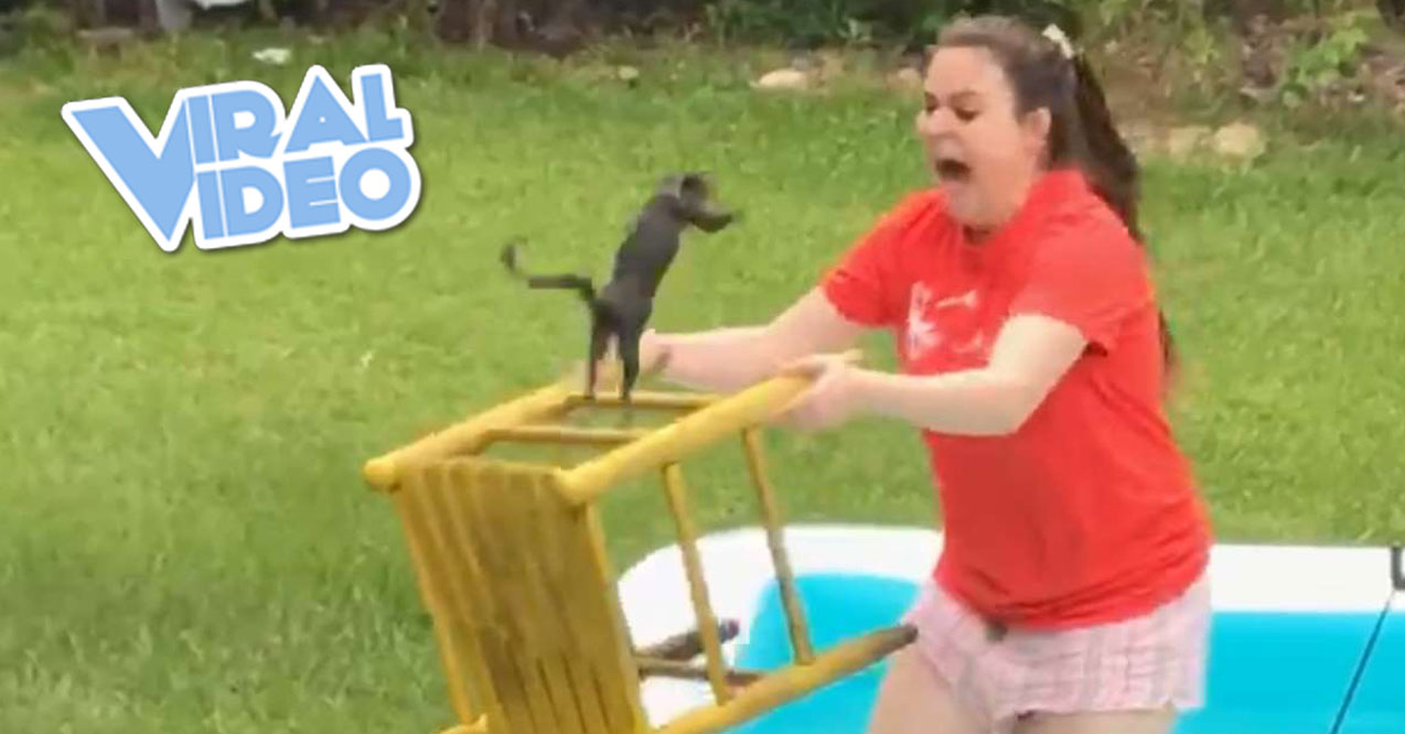 Viral Video: Girl’s Attempt to Help Squirrel Backfires