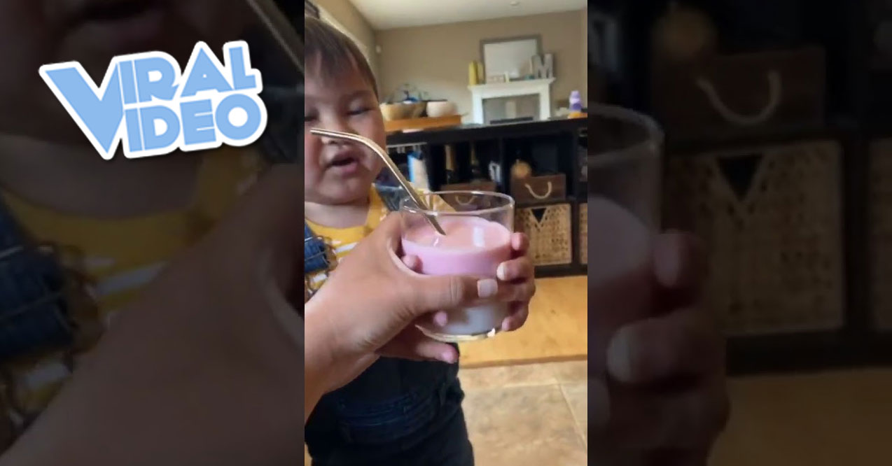Viral Video: Is This the Politest Little Kid Ever?