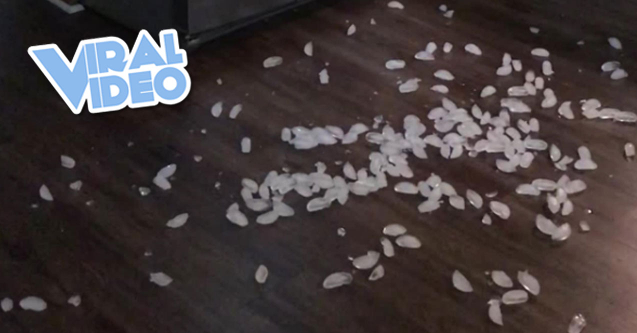 Viral Video: Ice Cubes Keep Coming