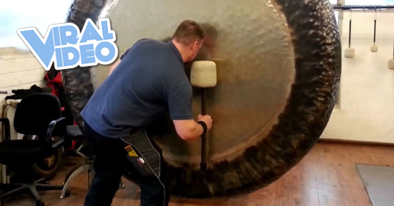 Viral Video: Enjoy the Talents of “Gong Master Sven”