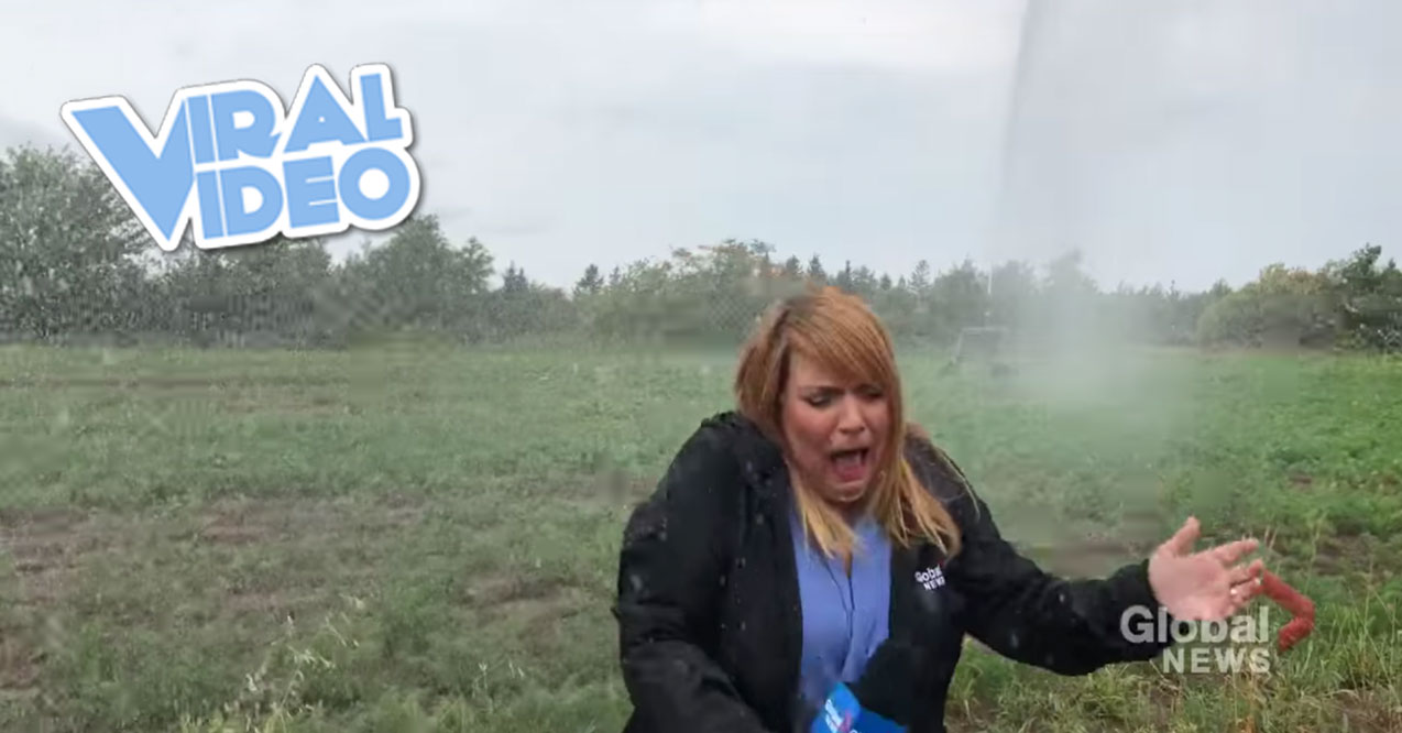 Viral Video: Shelley Steeves Meets a Sprinkler