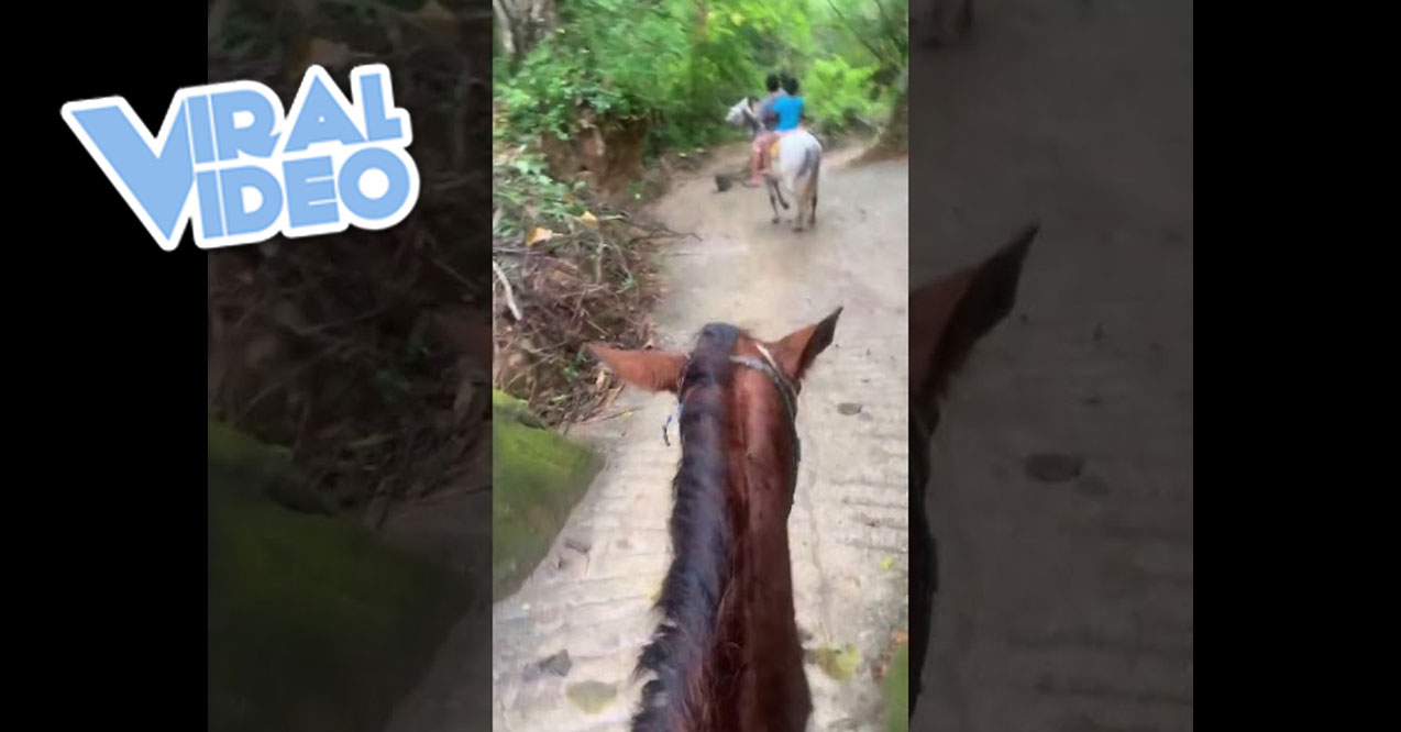 Viral Video: Woman “Lost” In a Mexican Jungle