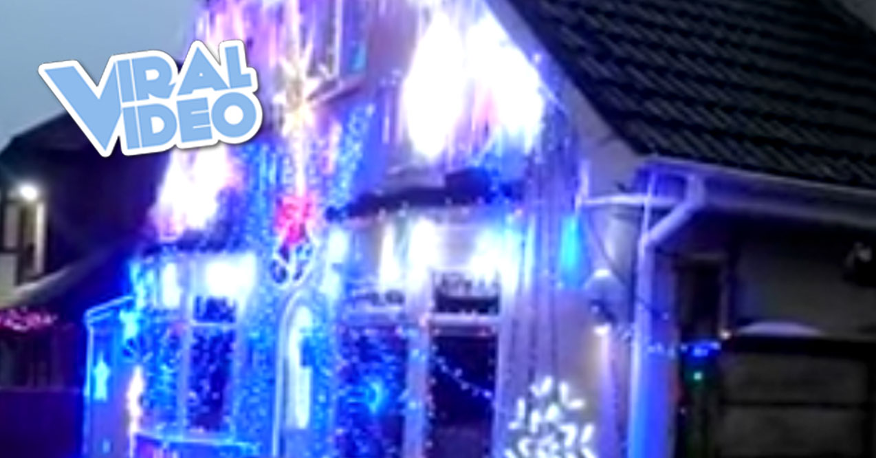 Viral Video: Is This the Laziest Christmas Decoration Ever?