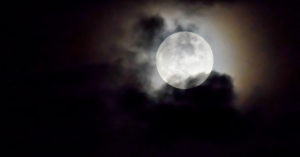 The Astronauts Are Coming Back Home!