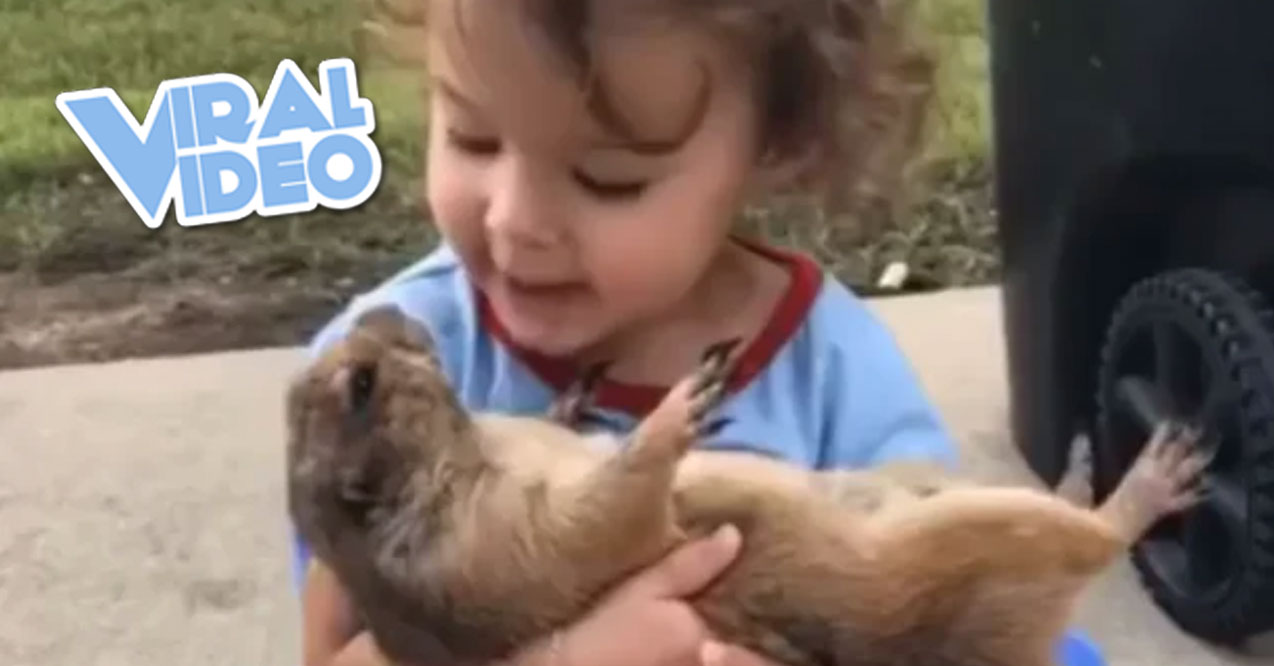 Viral Video: Little Girl Cuddling a Prairie Dog