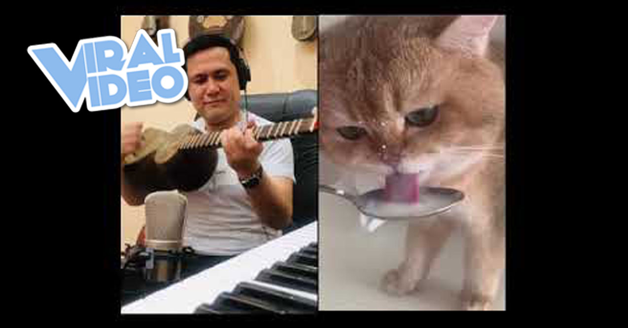 Viral Video: Another Great Song Based on a Cat’s Warbling