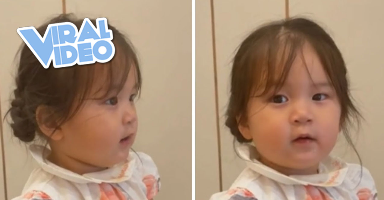 Viral Video: Adorable 2-Year-Old Gives Savage Response