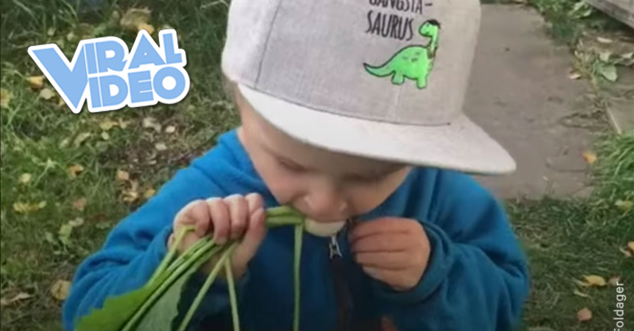 Viral Video: This Kid Loves His Vegetables