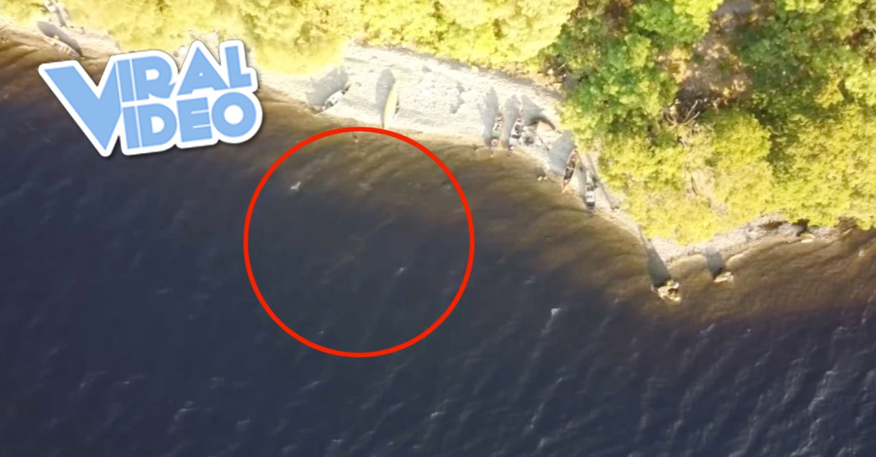 Viral Video: New Footage of the Loch Ness Monster