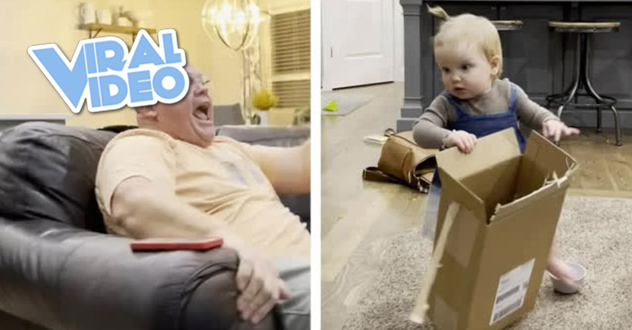 Viral Video: Grandpa’s Football Reaction Makes a Toddler Cry
